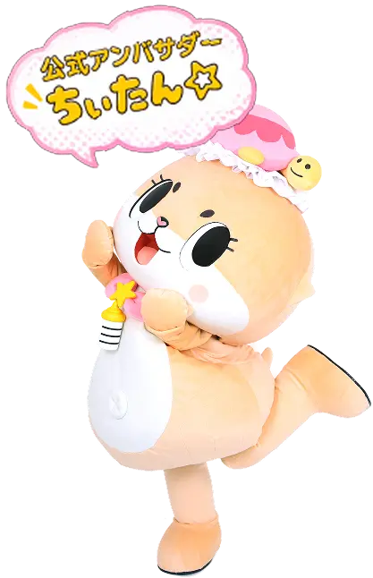 公式アンバサダー ちぃたん☆